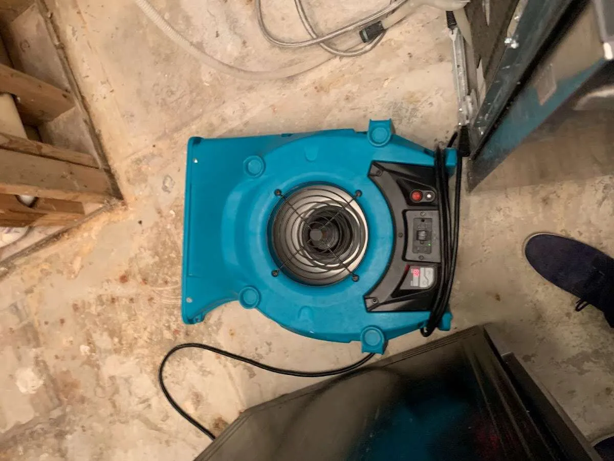 Air mover drying equipment for Mold Remediation & Removal in Harwinton